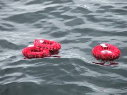 poppiesfloat