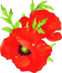 Poppy Logo