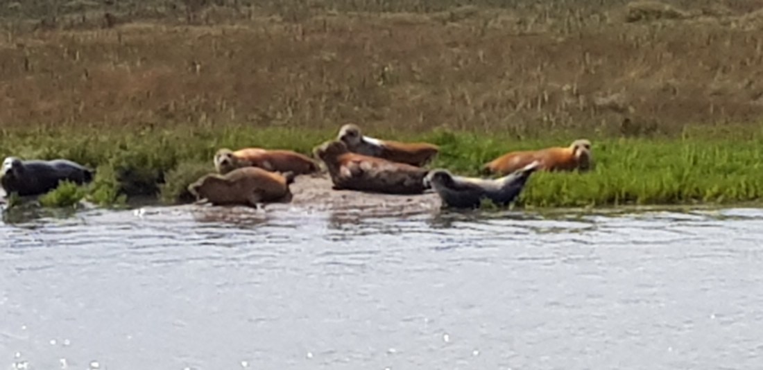 DATO220190820_144748